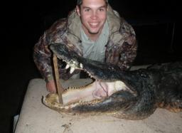 gator hunting